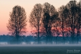001_Biebrza - kwiecien 2012